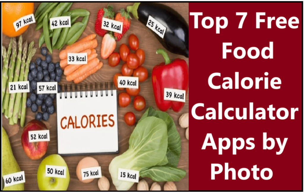 Top 7 Free Food Calorie Calculator Apps by Photo